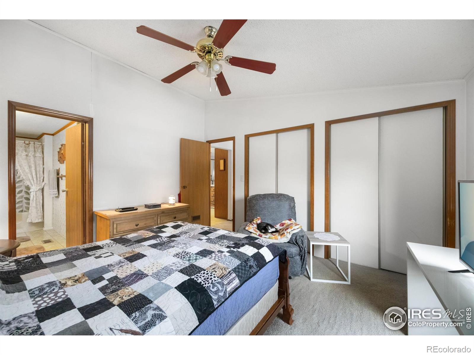 MLS Image #15 for 228  leanne drive,loveland, Colorado