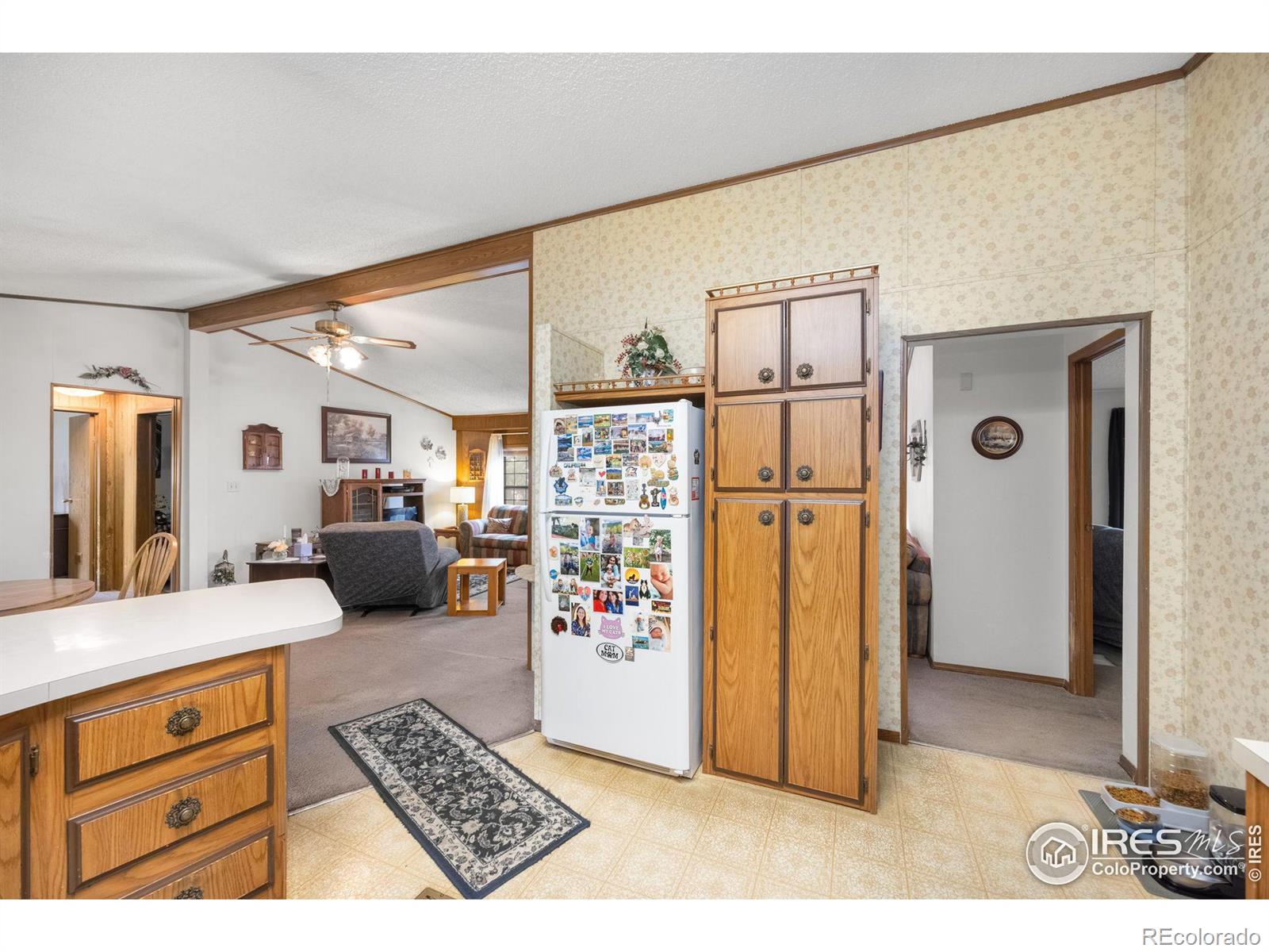 MLS Image #4 for 228  leanne drive,loveland, Colorado