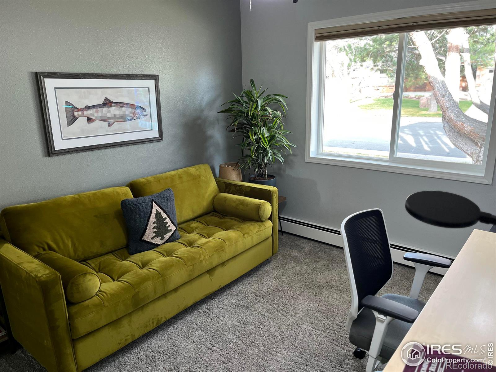MLS Image #17 for 3218  wedgewood court,fort collins, Colorado