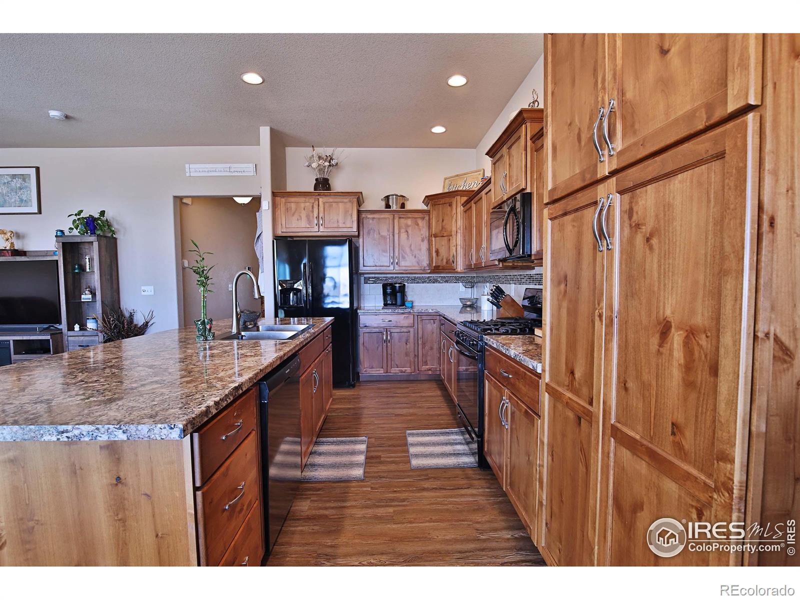 MLS Image #10 for 702  mt evans avenue,severance, Colorado