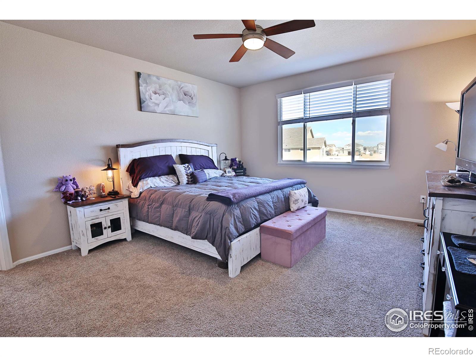MLS Image #18 for 702  mt evans avenue,severance, Colorado