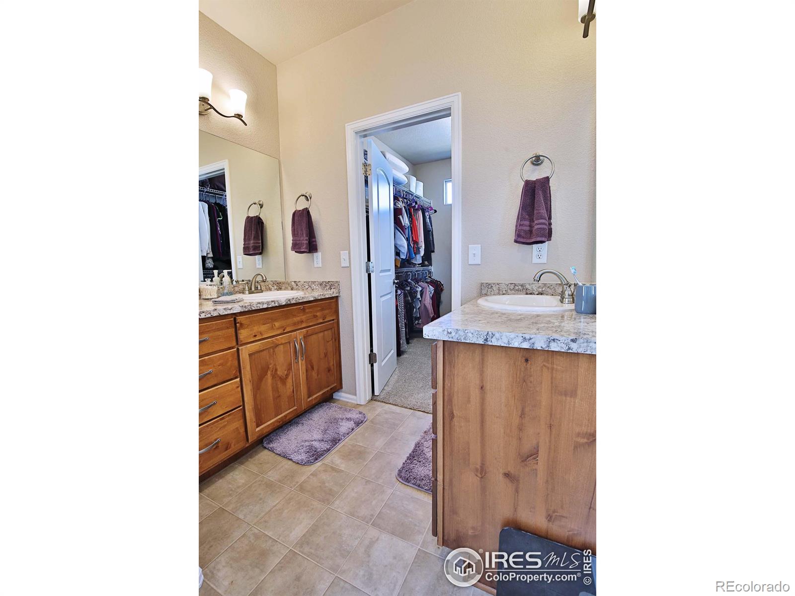 MLS Image #19 for 702  mt evans avenue,severance, Colorado