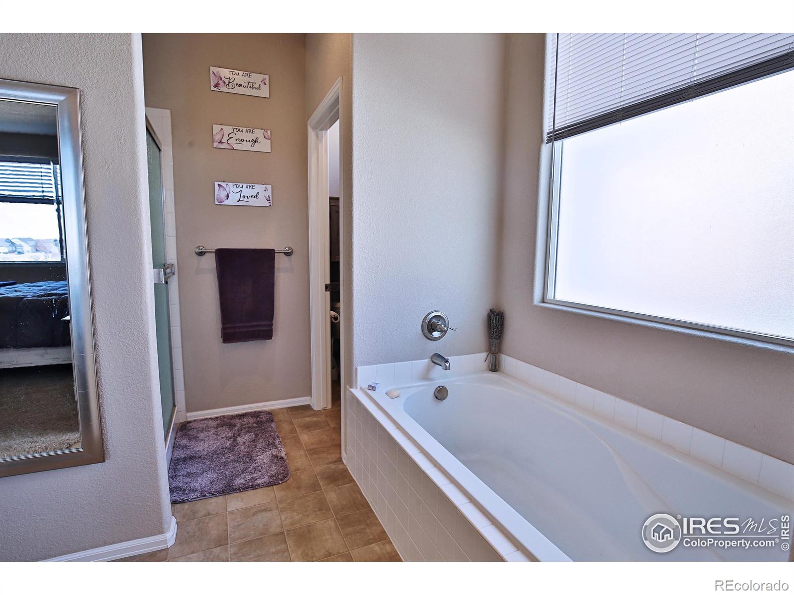 MLS Image #20 for 702  mt evans avenue,severance, Colorado