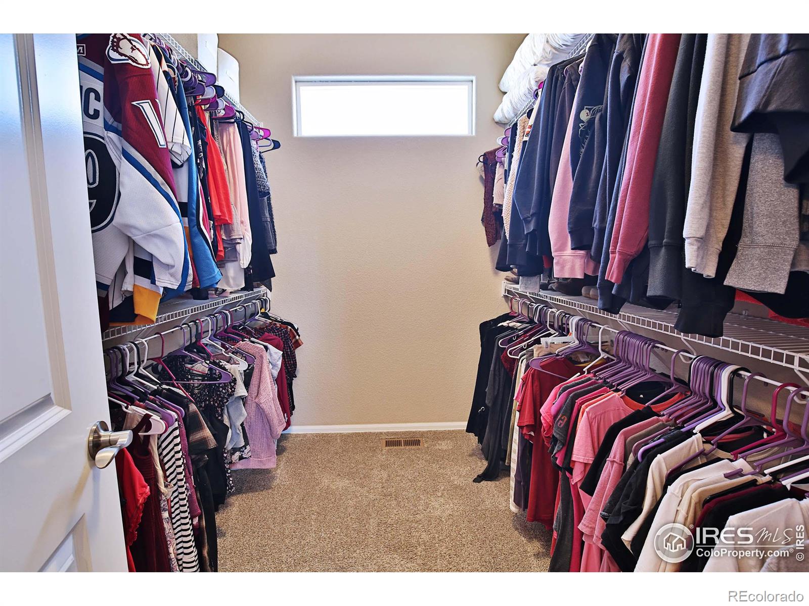 MLS Image #21 for 702  mt evans avenue,severance, Colorado