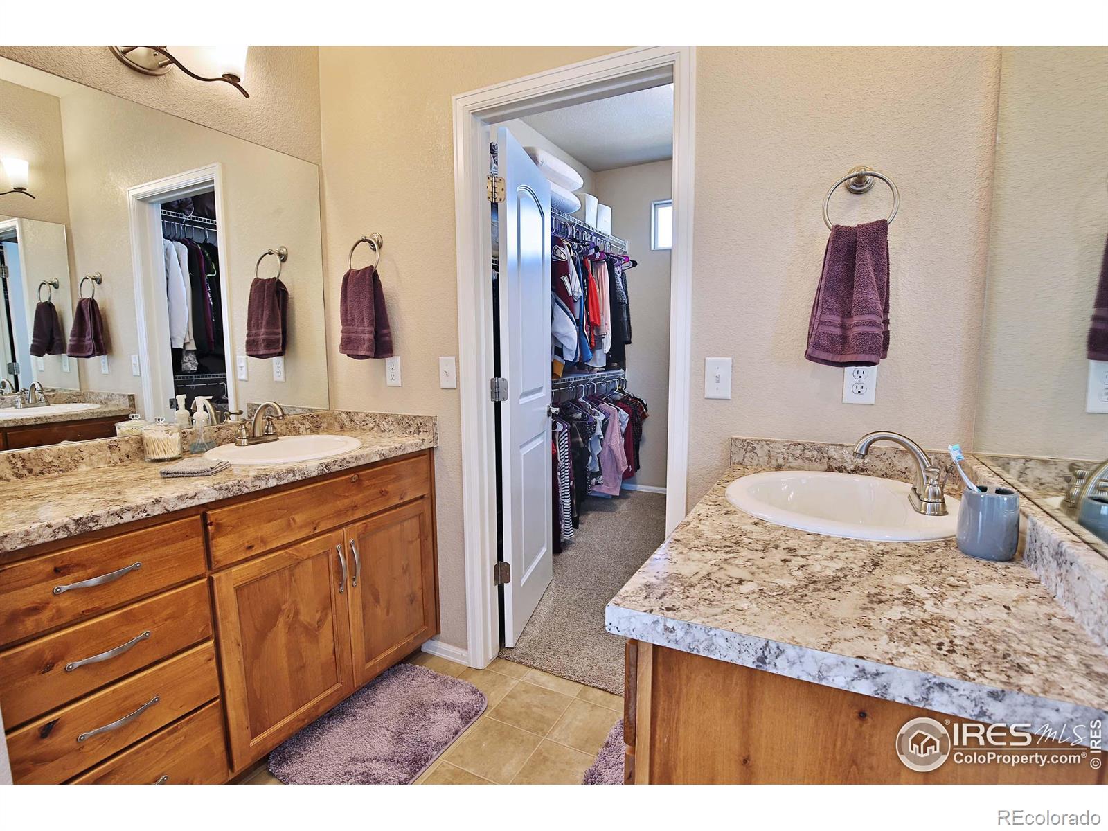 MLS Image #23 for 702  mt evans avenue,severance, Colorado