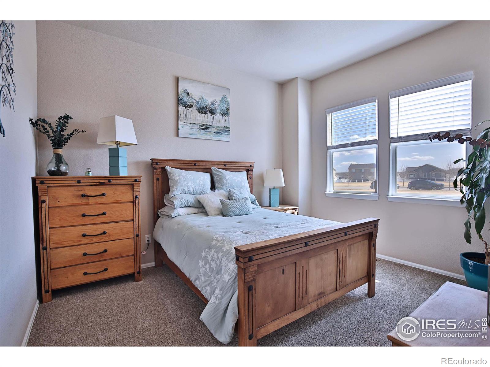 MLS Image #25 for 702  mt evans avenue,severance, Colorado