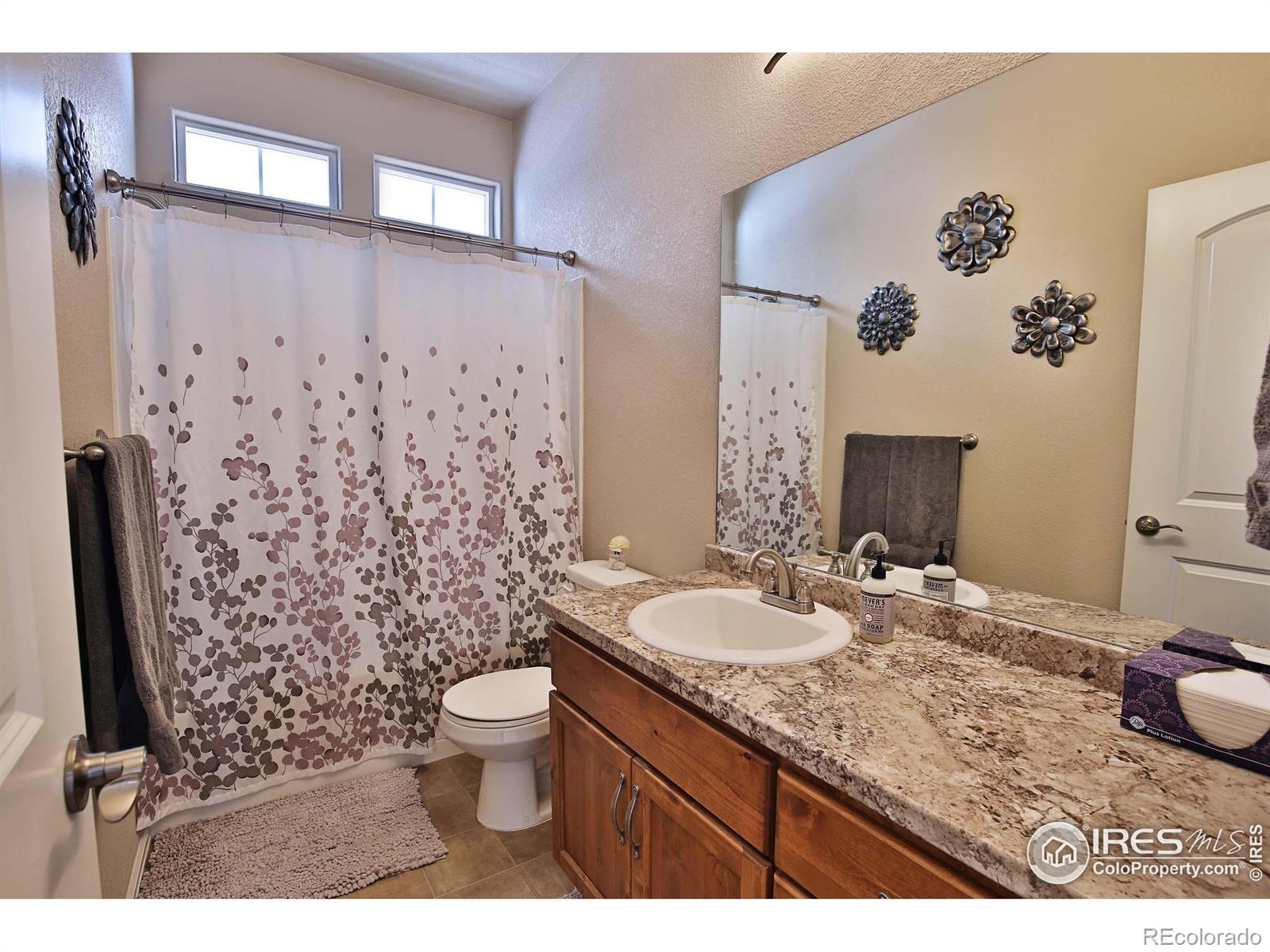 MLS Image #26 for 702  mt evans avenue,severance, Colorado