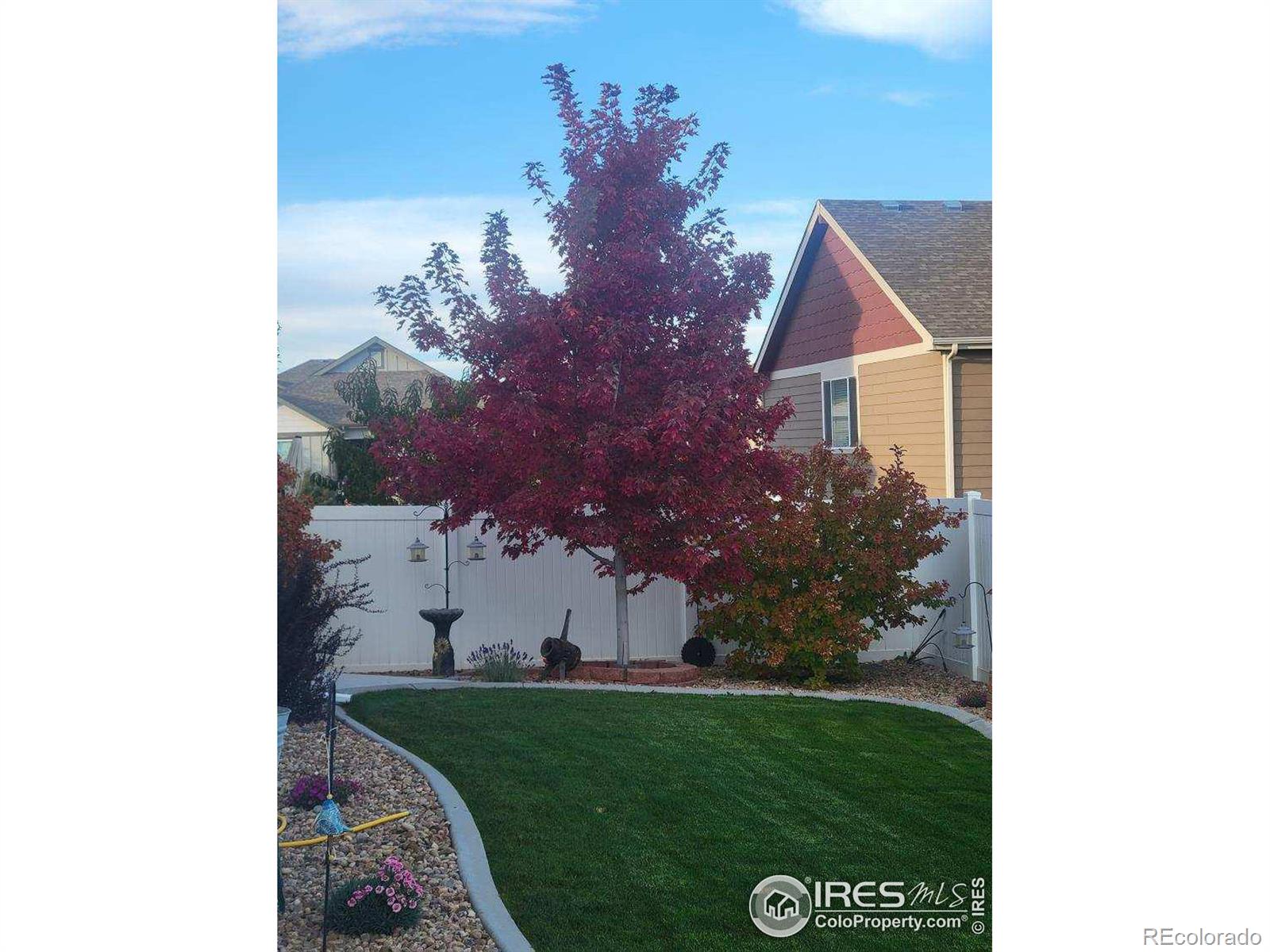 MLS Image #4 for 702  mt evans avenue,severance, Colorado