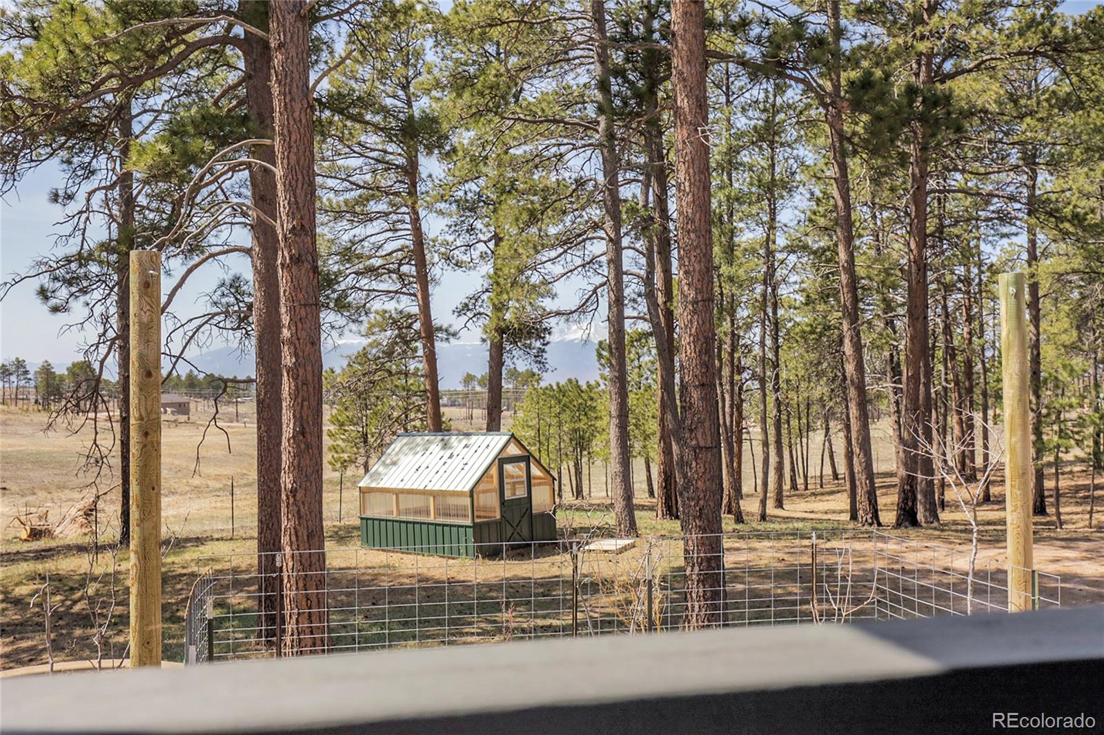 MLS Image #9 for 13385  herring road,colorado springs, Colorado