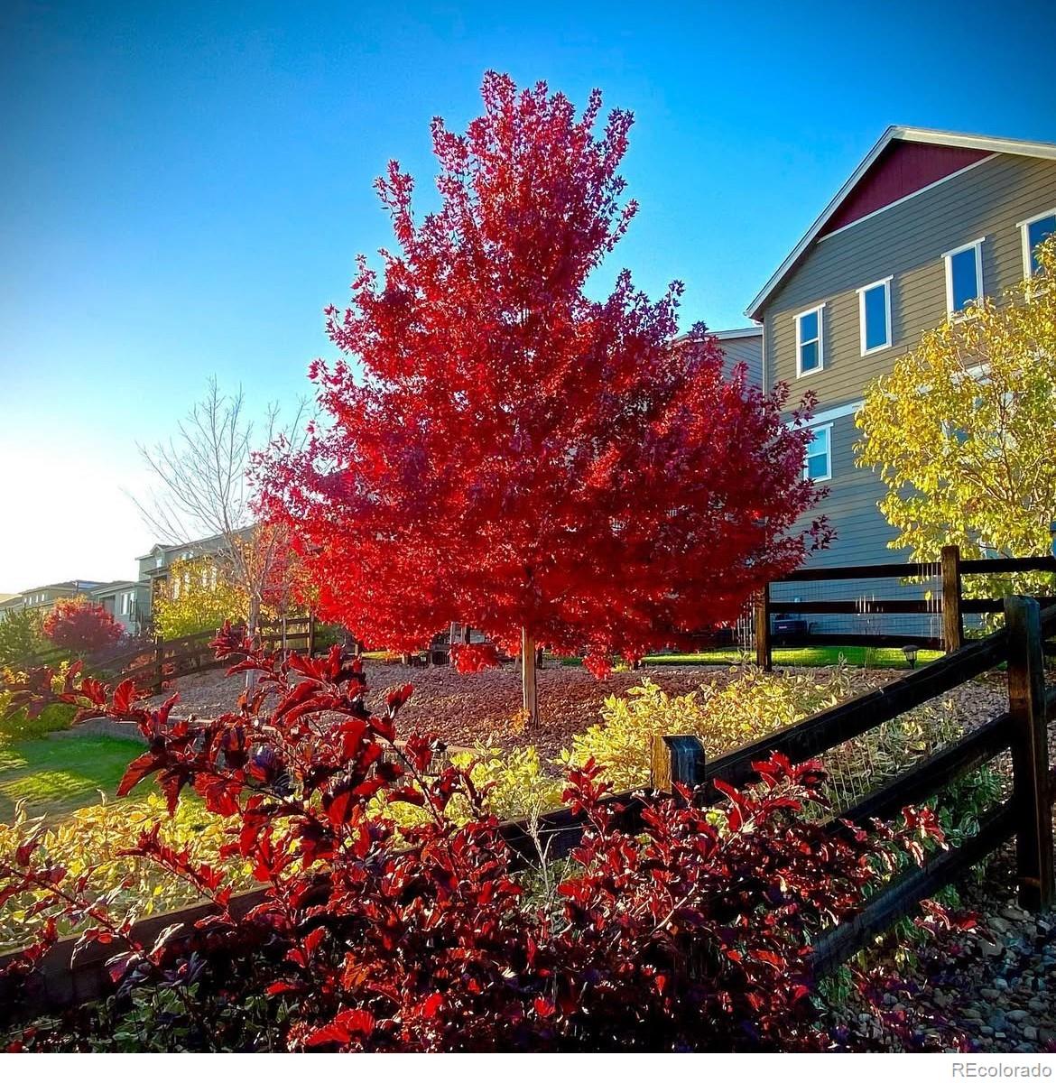 MLS Image #35 for 18315 w 83rd drive,arvada, Colorado