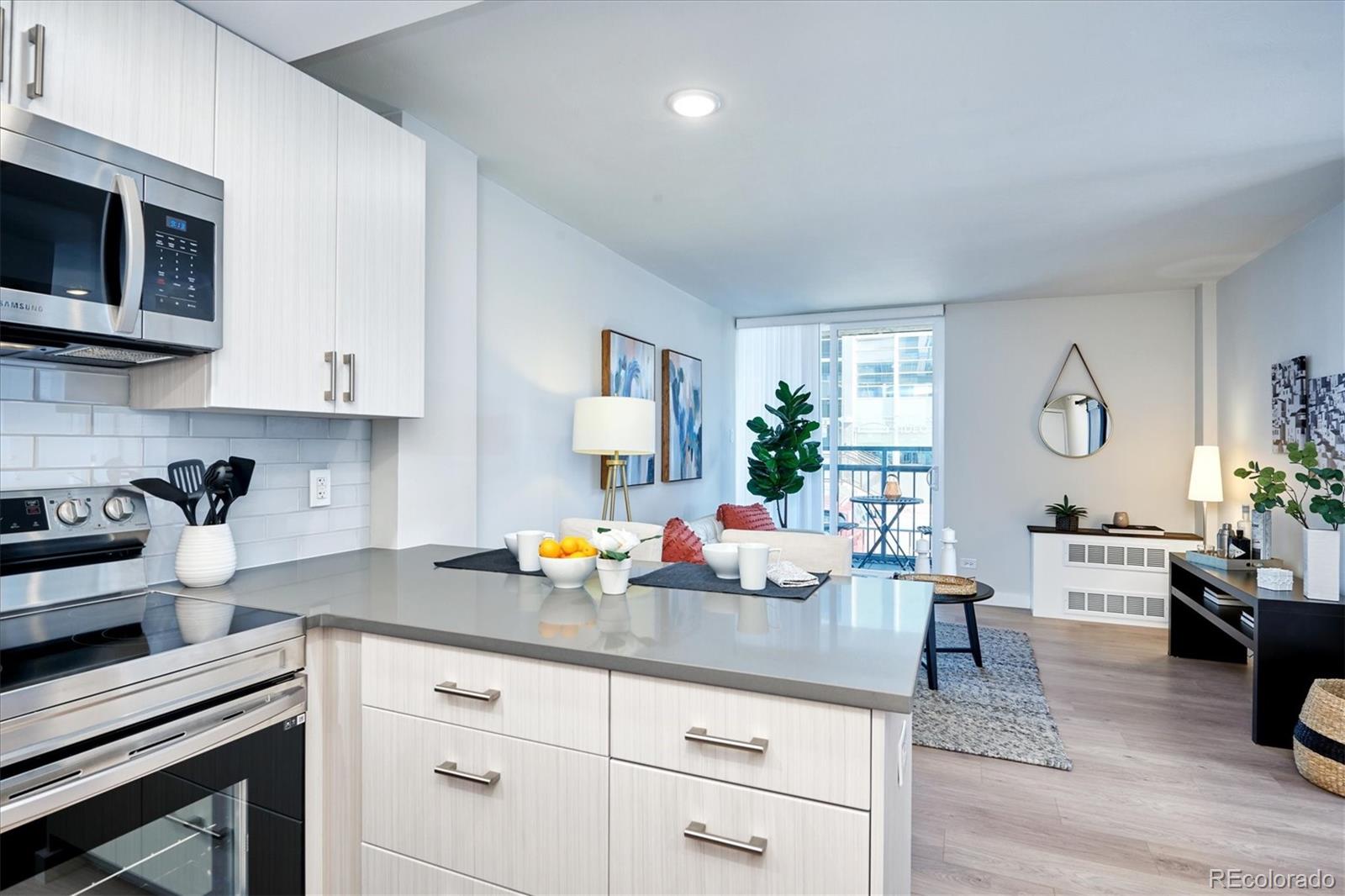 MLS Image #6 for 830 n sherman street,denver, Colorado