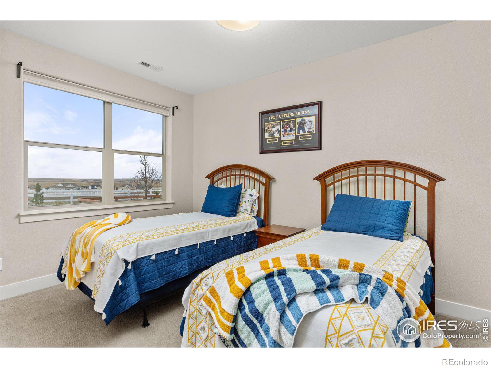 MLS Image #28 for 3810  bridle ridge circle,severance, Colorado