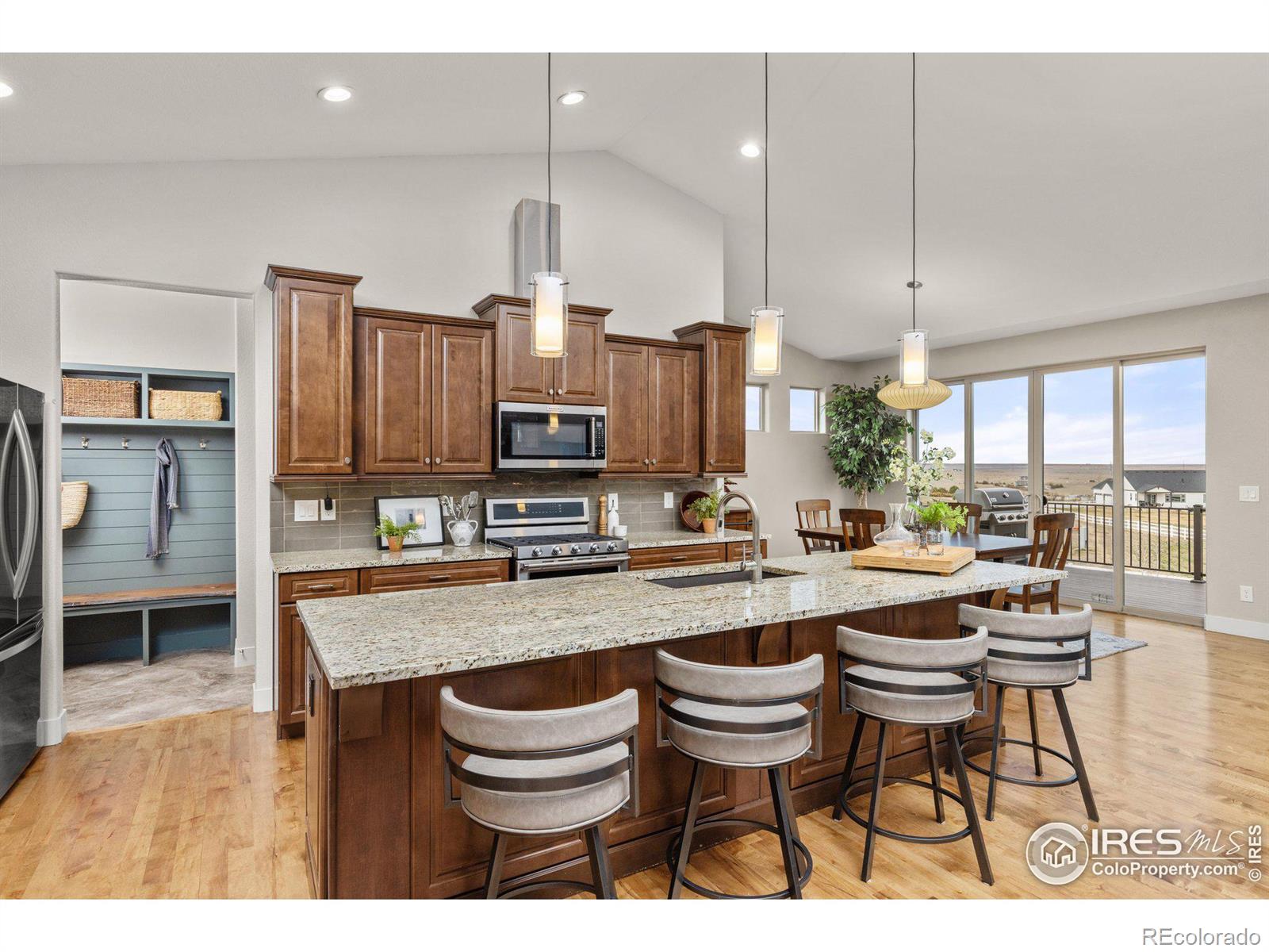 MLS Image #7 for 3810  bridle ridge circle,severance, Colorado