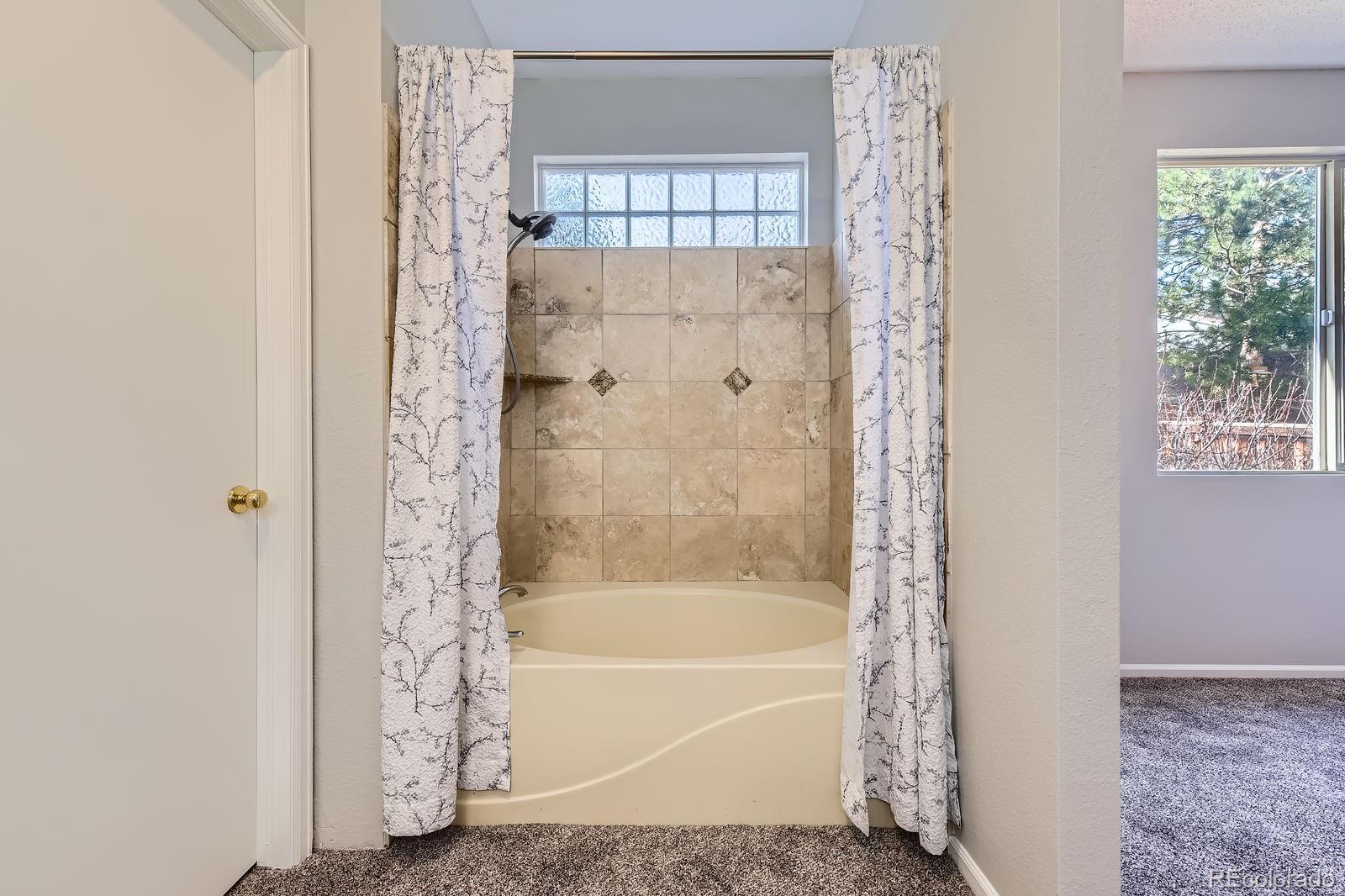 MLS Image #12 for 4868  collingswood drive,highlands ranch, Colorado