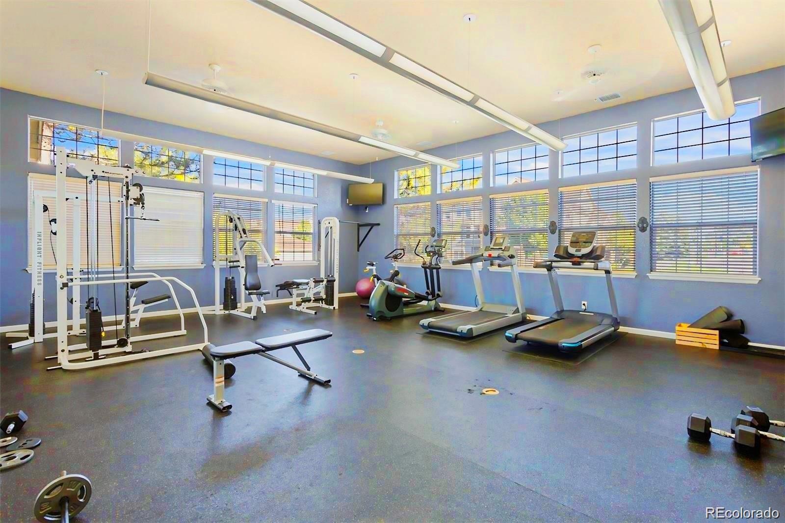 MLS Image #18 for 452  black feather loop,castle rock, Colorado