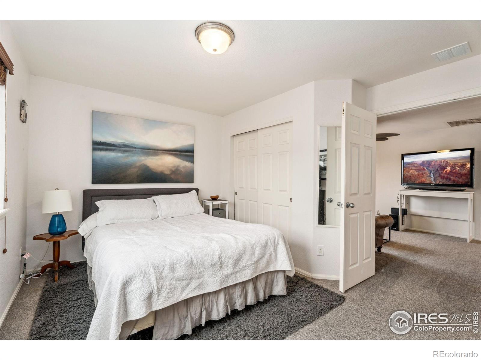 MLS Image #12 for 605  wycombe court,windsor, Colorado