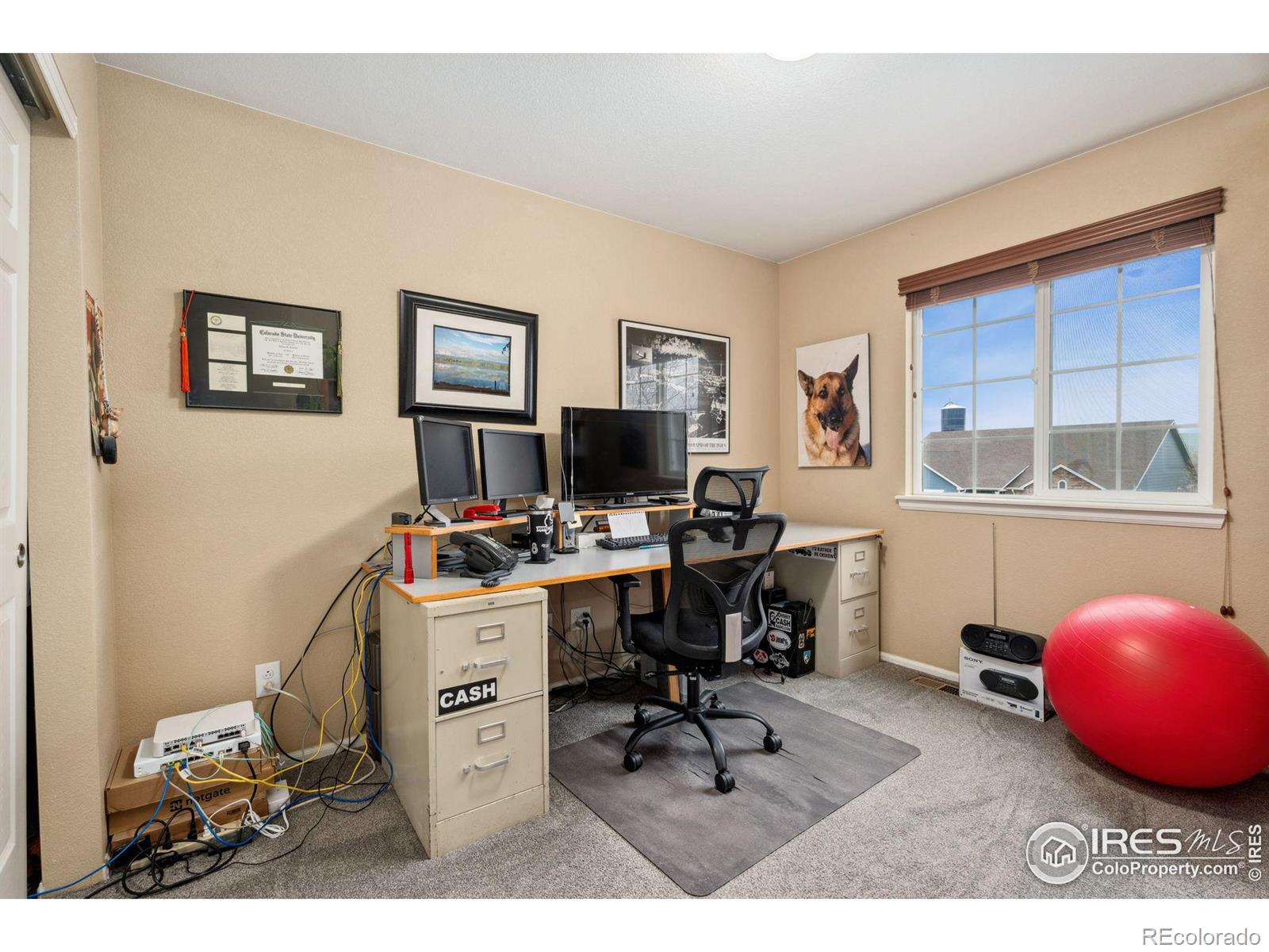 MLS Image #15 for 605  wycombe court,windsor, Colorado