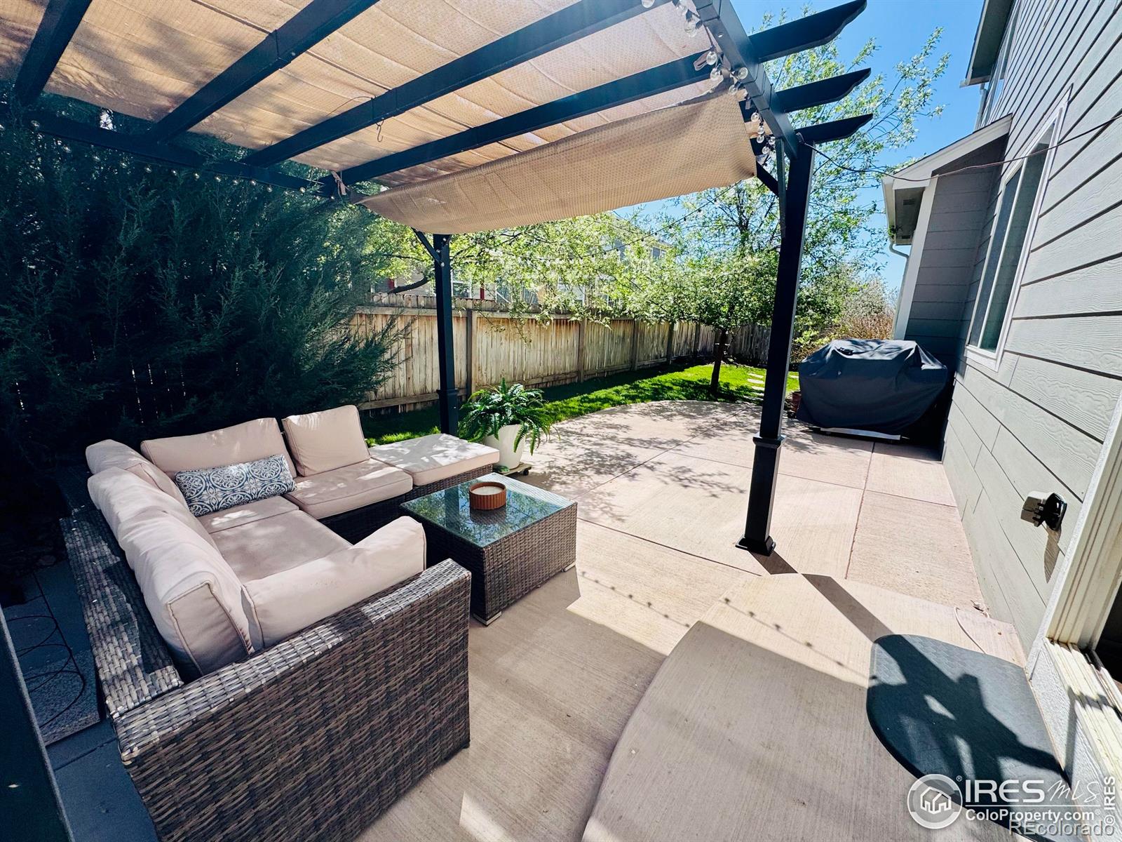 MLS Image #20 for 605  wycombe court,windsor, Colorado