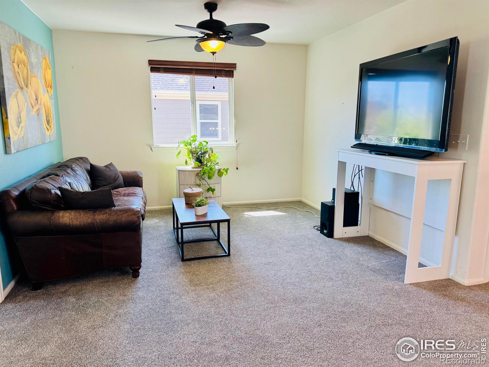 MLS Image #21 for 605  wycombe court,windsor, Colorado