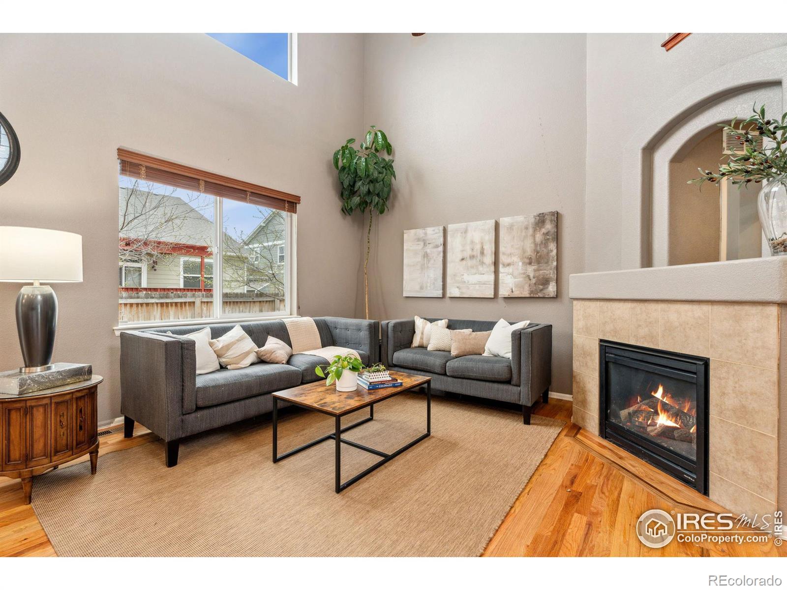 MLS Image #3 for 605  wycombe court,windsor, Colorado