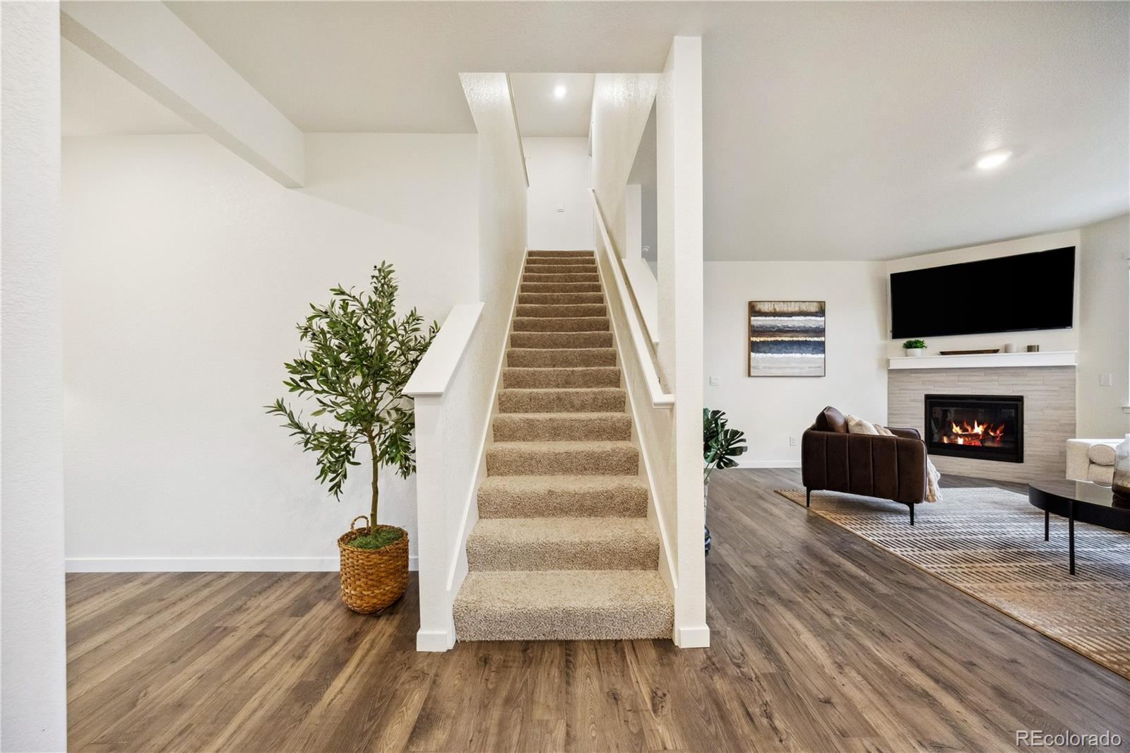 MLS Image #12 for 14696  bonsmara drive,mead, Colorado