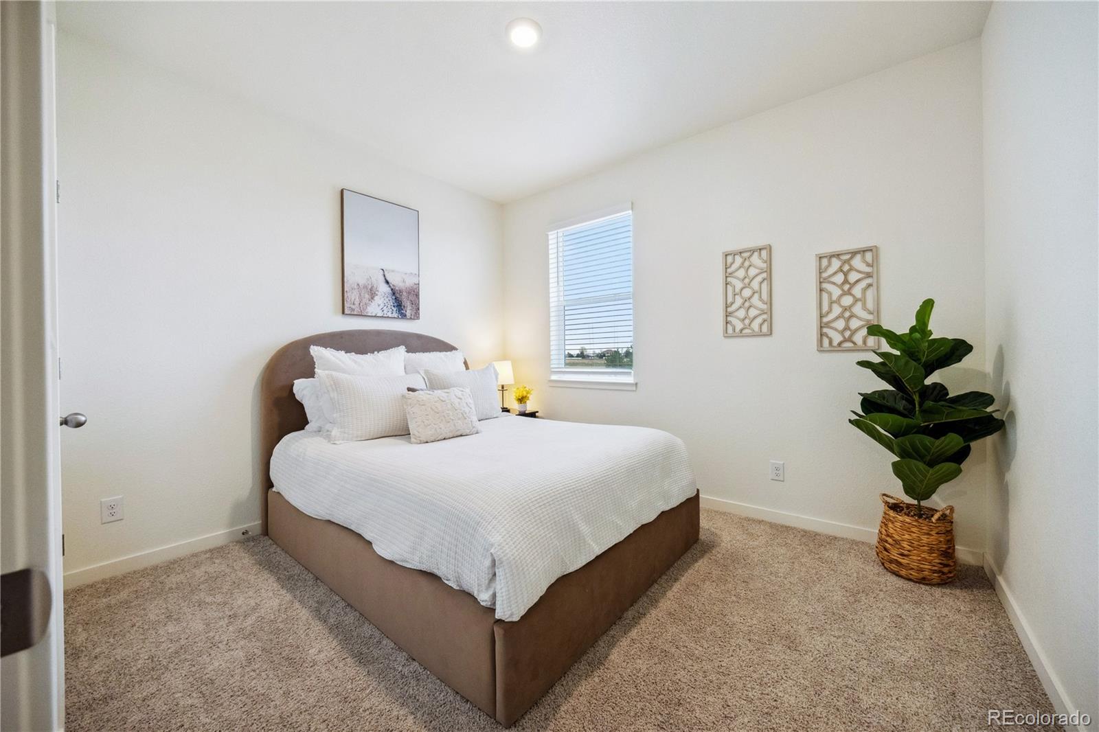 MLS Image #15 for 14696  bonsmara drive,mead, Colorado