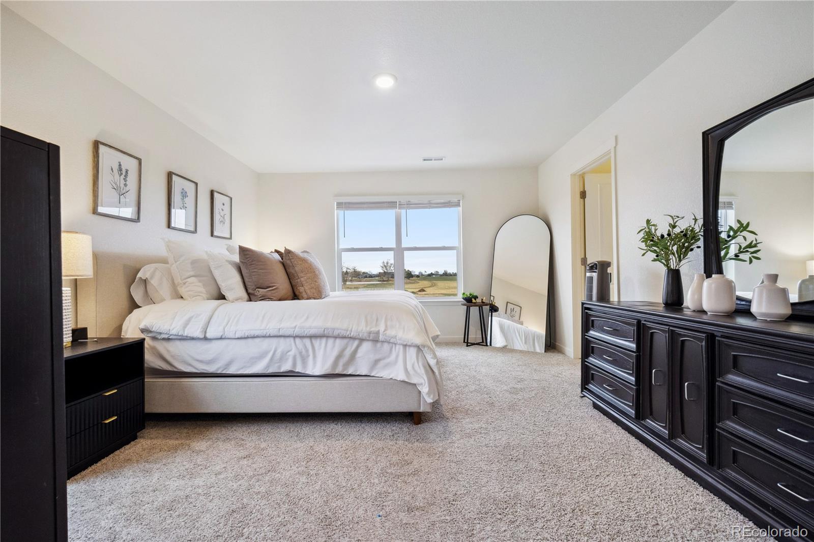 MLS Image #18 for 14696  bonsmara drive,mead, Colorado