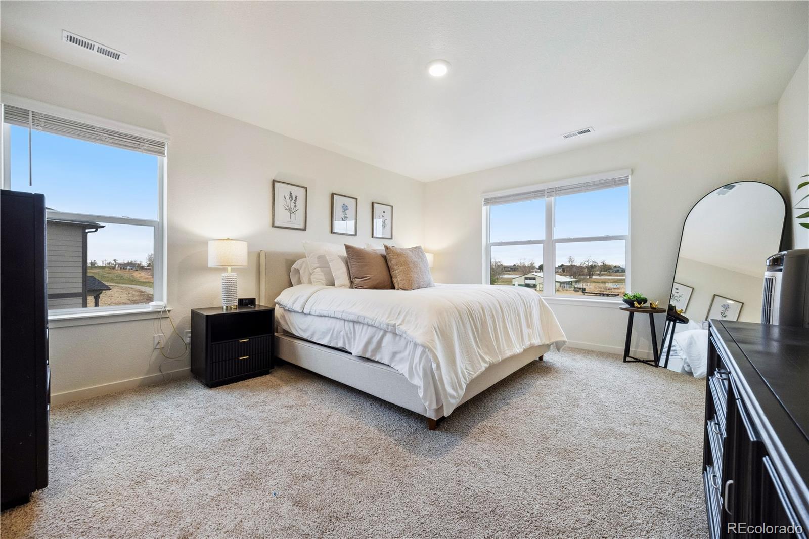 MLS Image #19 for 14696  bonsmara drive,mead, Colorado