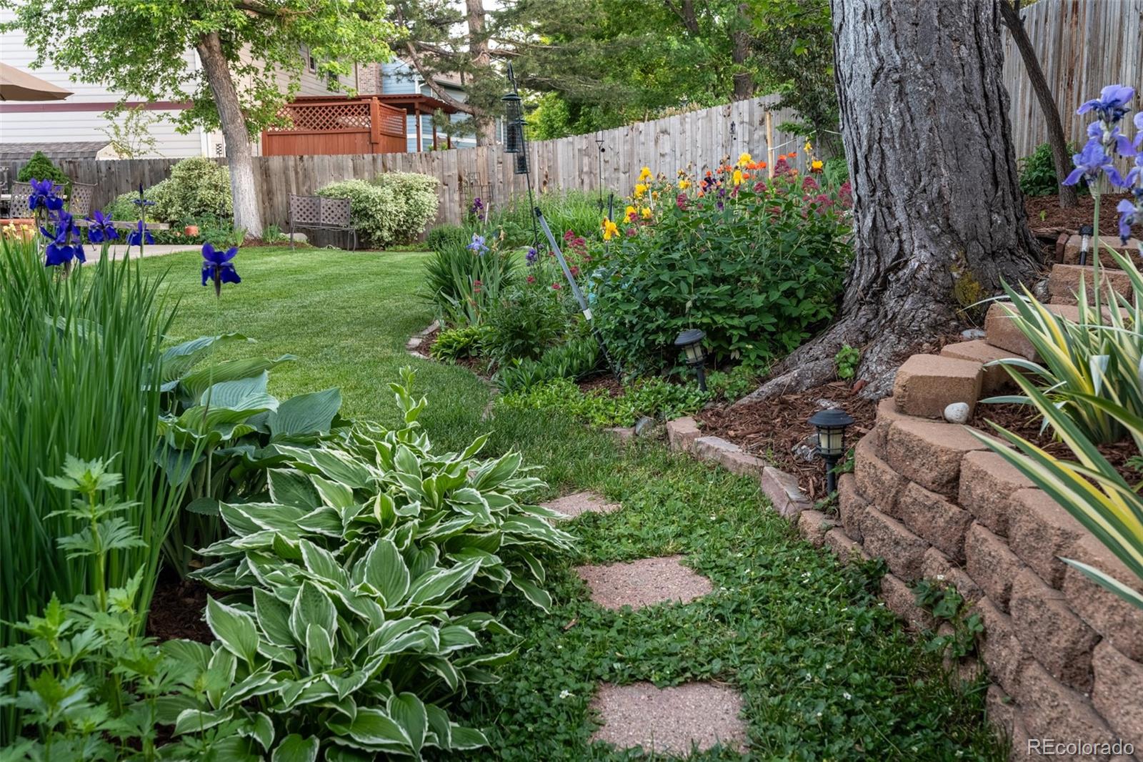 MLS Image #41 for 7189 s kline street,littleton, Colorado