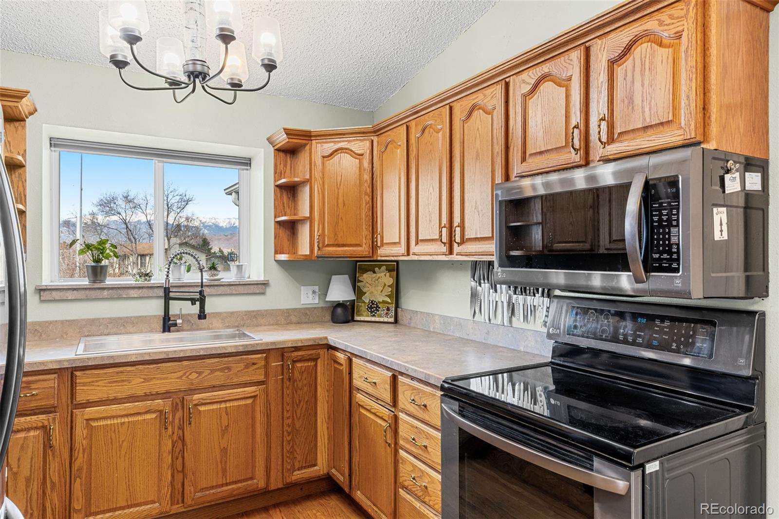 MLS Image #16 for 7599  red mountain drive,colorado springs, Colorado
