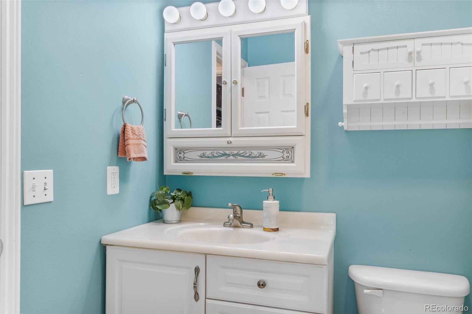 MLS Image #21 for 7599  red mountain drive,colorado springs, Colorado