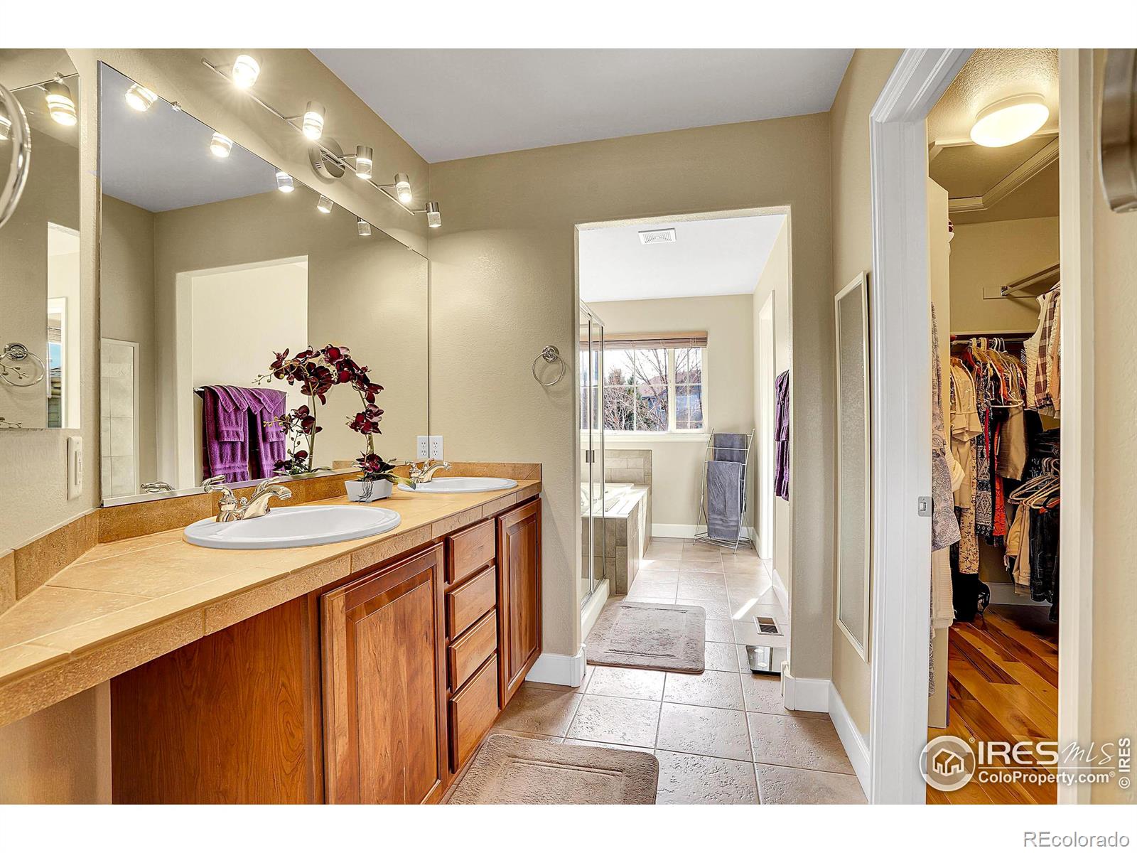 MLS Image #20 for 1408  forrestal drive,fort collins, Colorado