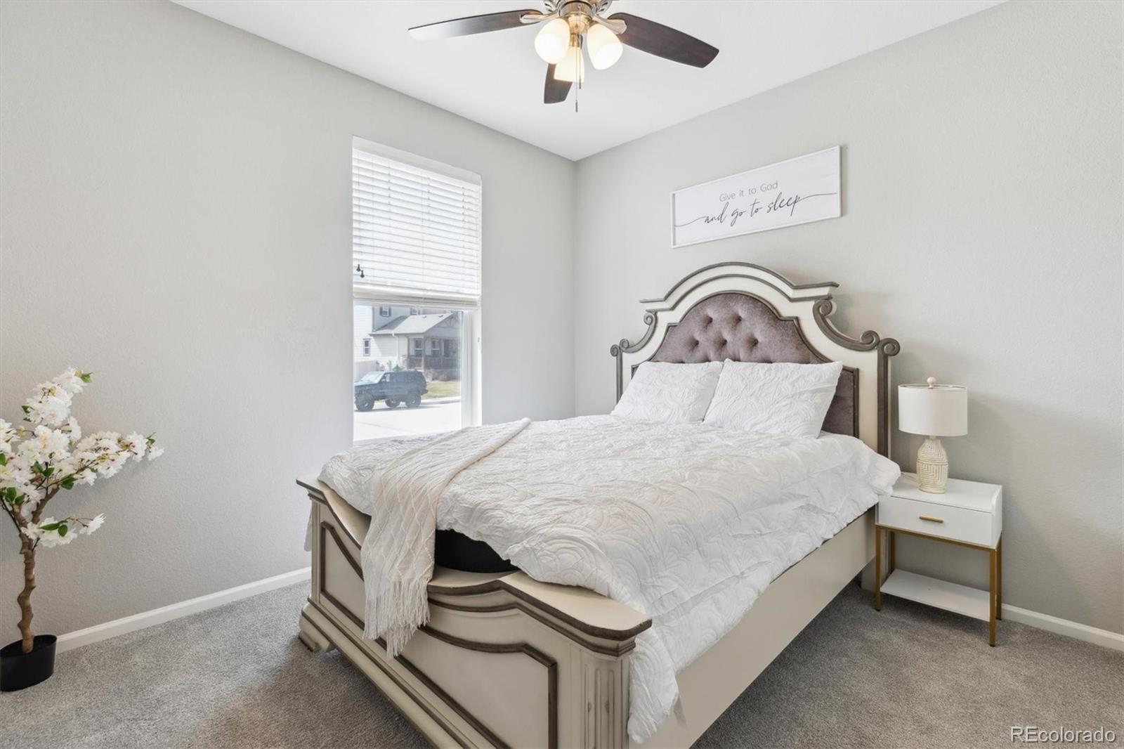 MLS Image #13 for 6243  saddle bow avenue,parker, Colorado