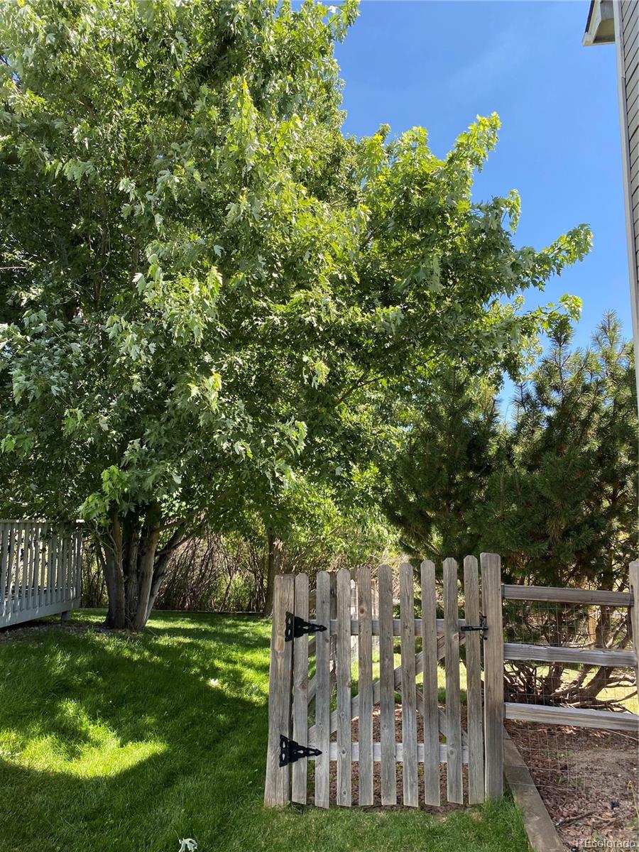 MLS Image #42 for 15567  jessie drive,colorado springs, Colorado