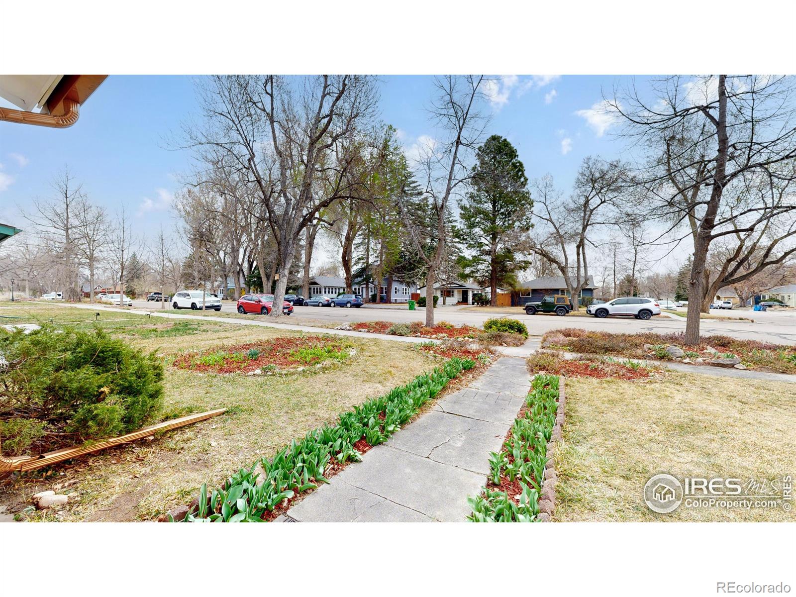 MLS Image #27 for 729  smith street,fort collins, Colorado