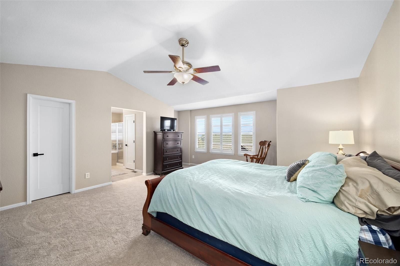 MLS Image #27 for 23291  briar leaf avenue,parker, Colorado