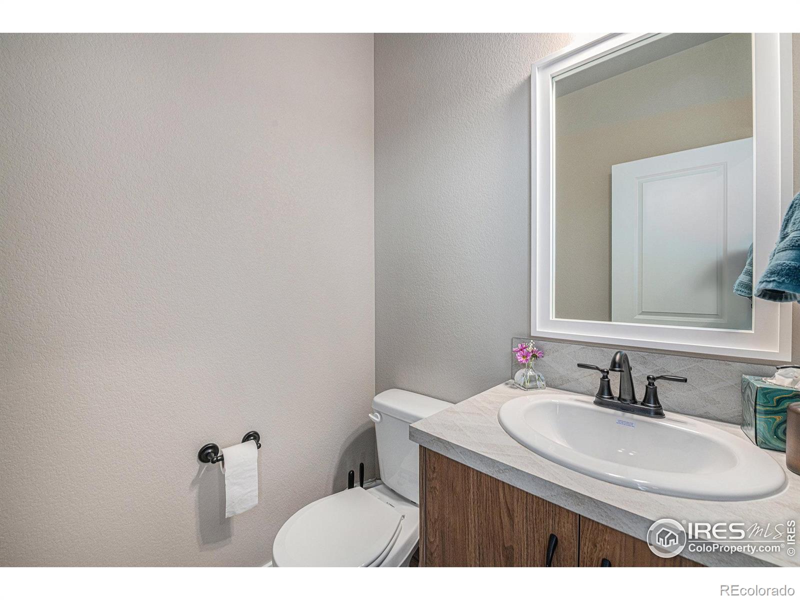 MLS Image #18 for 317  pyramid peak street,berthoud, Colorado