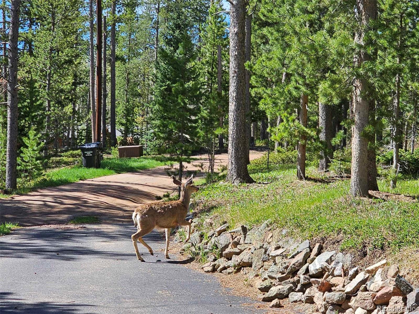 MLS Image #10 for 10858  norton avenue,conifer, Colorado