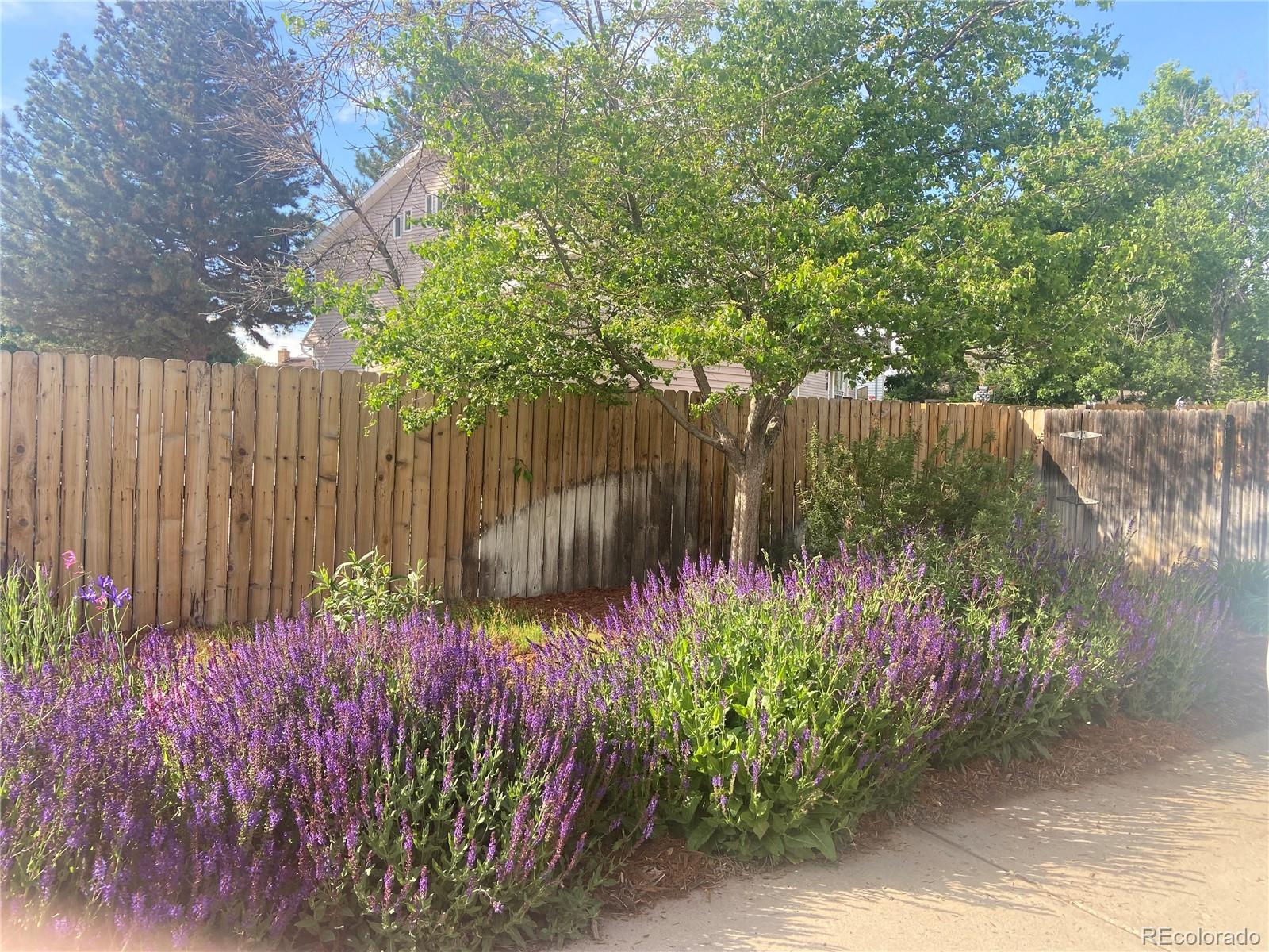 MLS Image #16 for 4455 e 115th avenue,thornton, Colorado