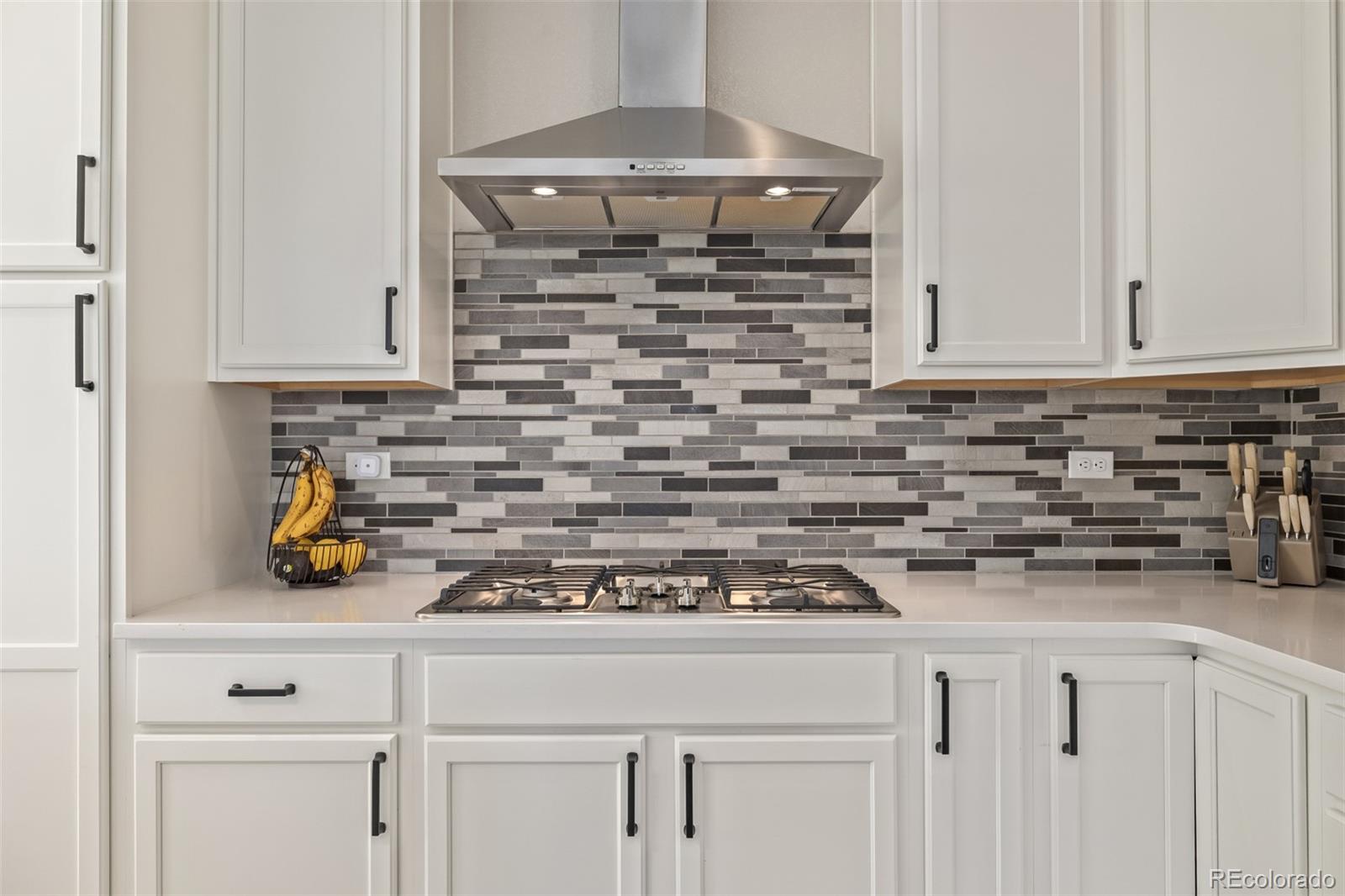 MLS Image #12 for 11400 w grand avenue,littleton, Colorado