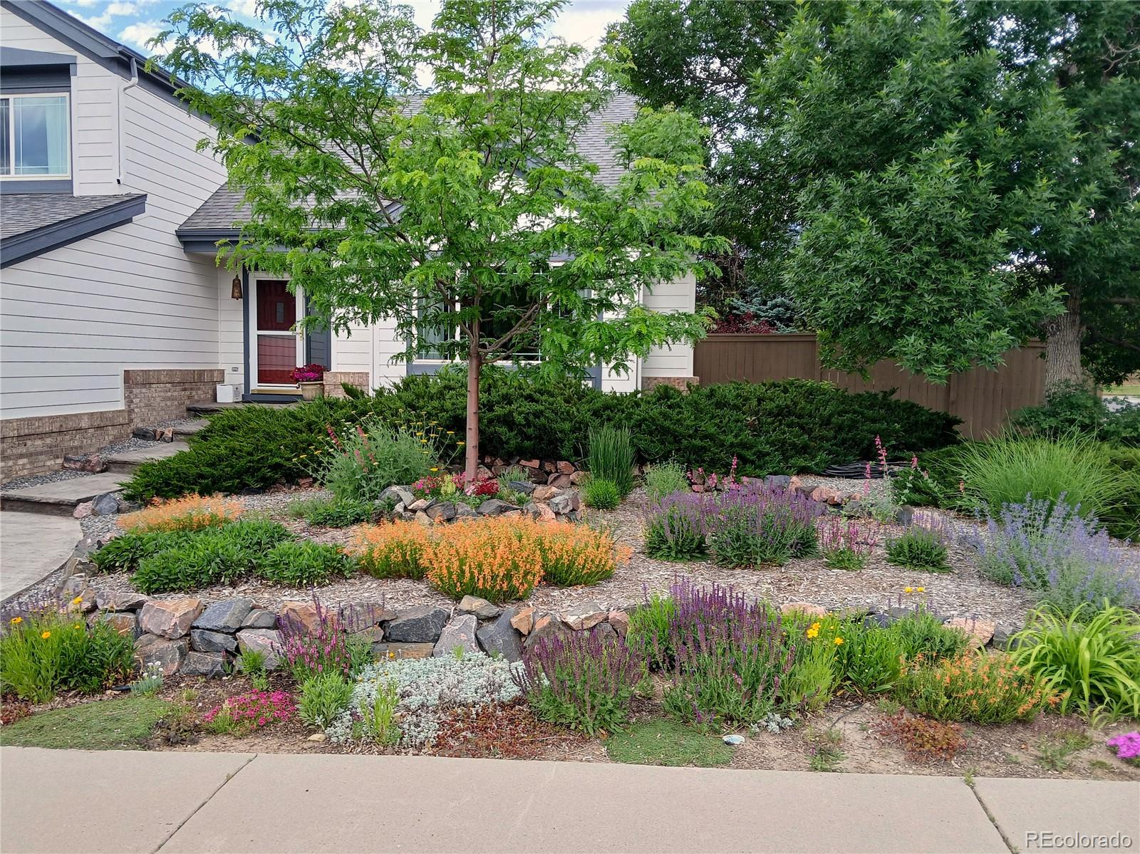 MLS Image #47 for 4530  ridgewood court,castle rock, Colorado