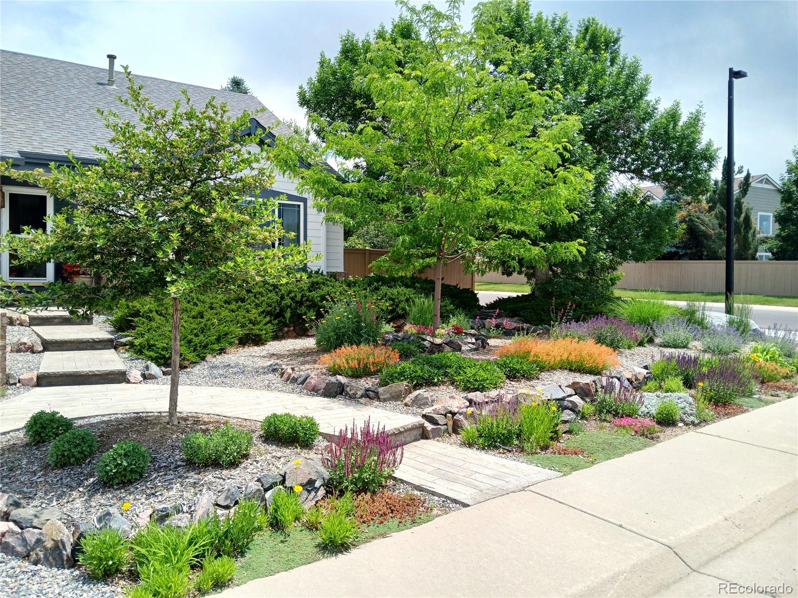 MLS Image #48 for 4530  ridgewood court,castle rock, Colorado