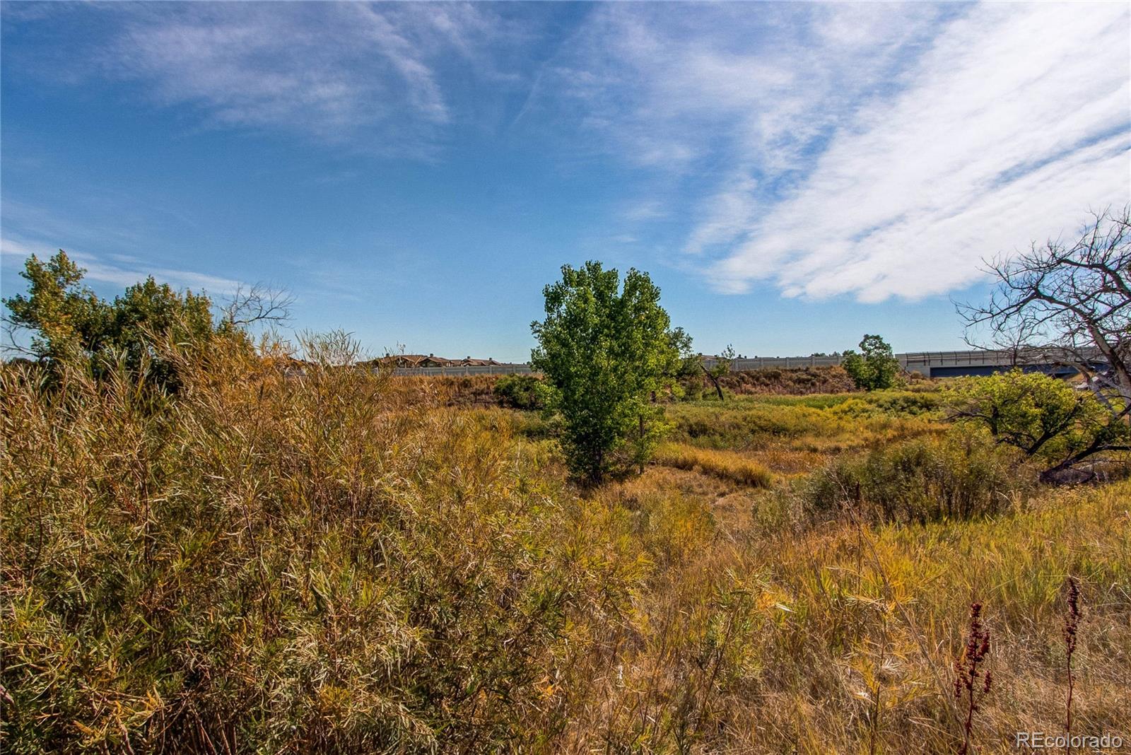 MLS Image #36 for 22920 e roxbury drive,aurora, Colorado