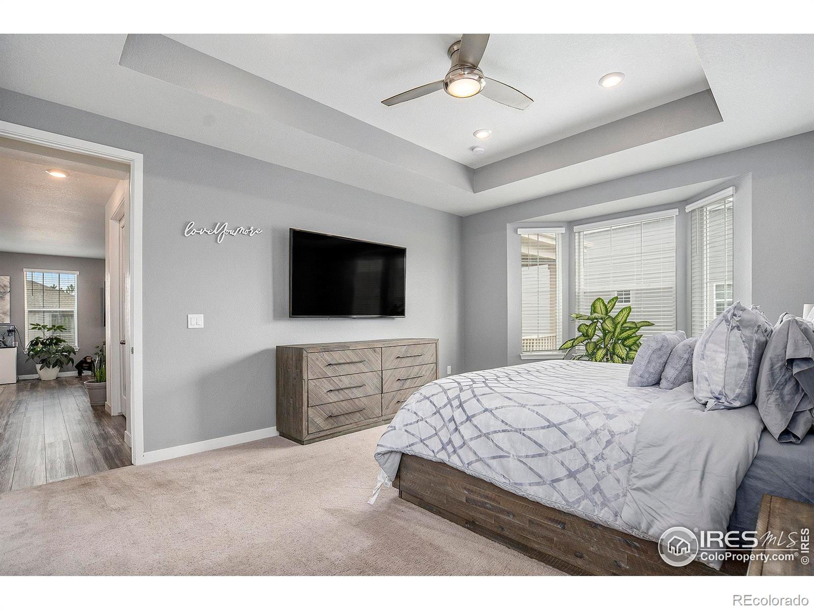 MLS Image #4 for 15788  xanthia way,thornton, Colorado