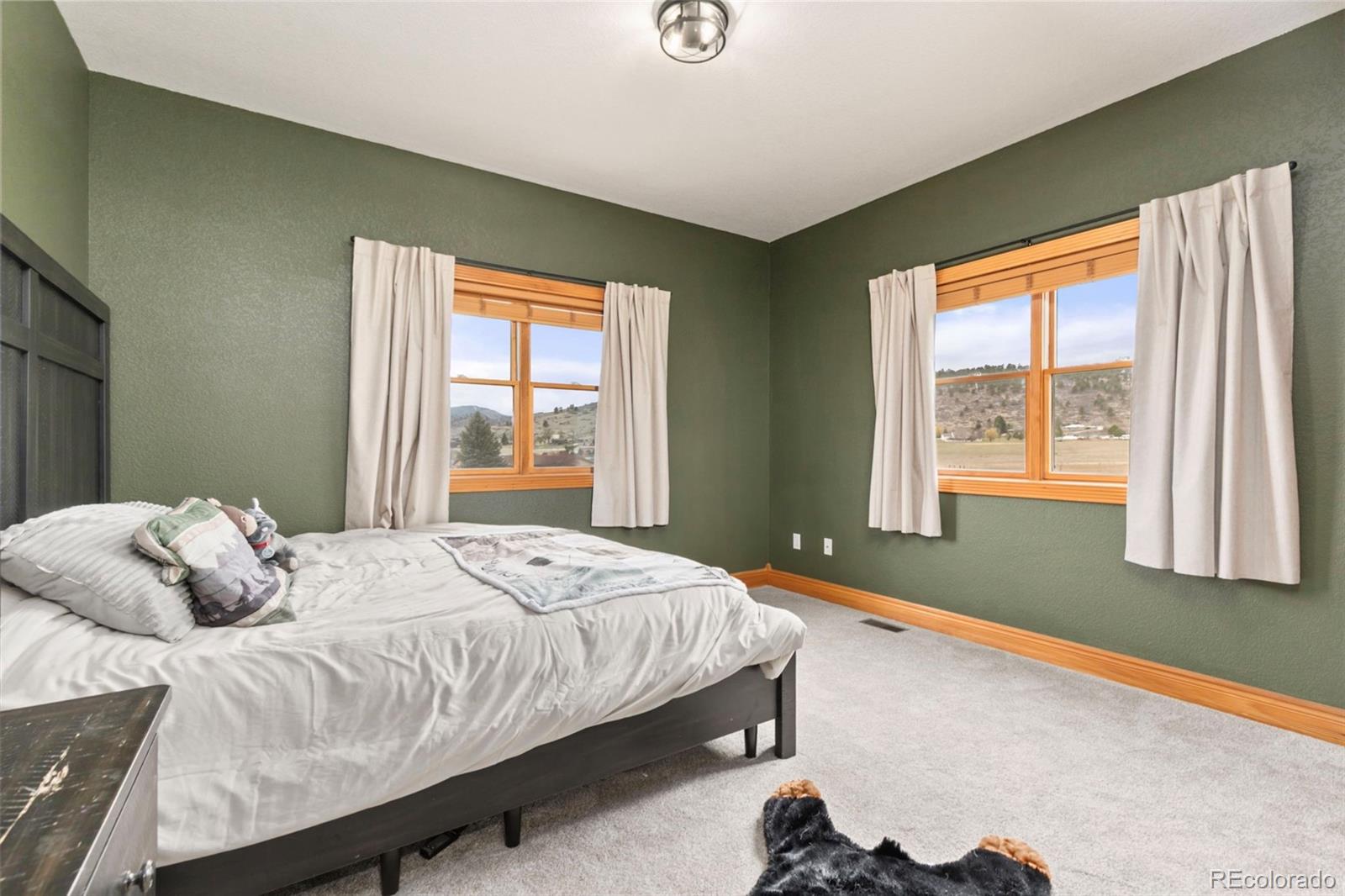 MLS Image #29 for 3065  wildes road,loveland, Colorado
