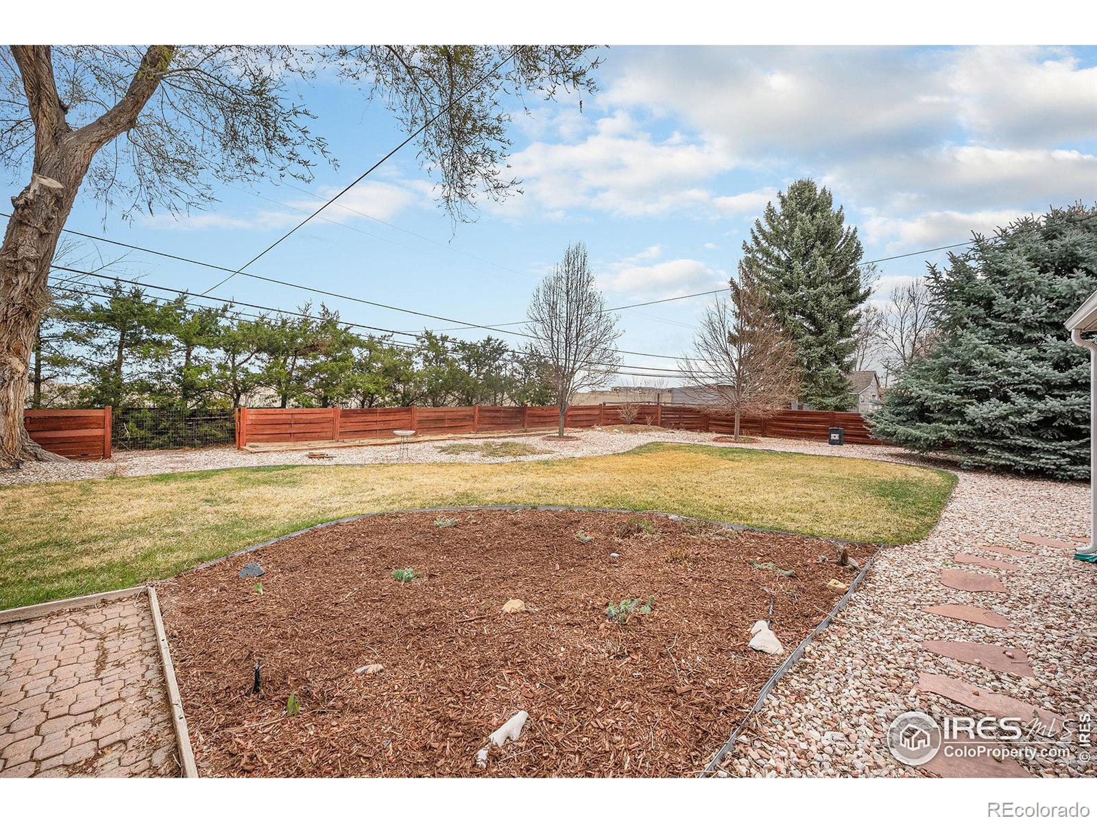 MLS Image #19 for 10591  park ridge avenue,longmont, Colorado