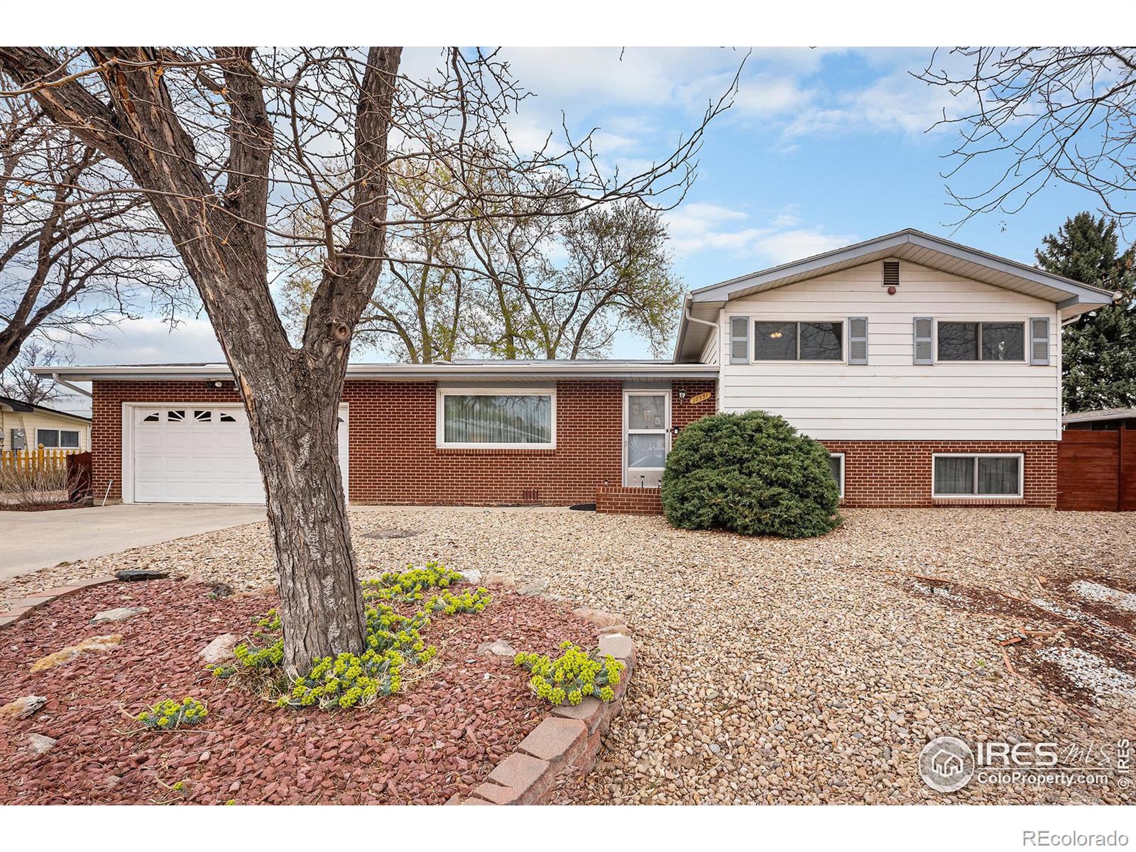 MLS Image #3 for 10591  park ridge avenue,longmont, Colorado