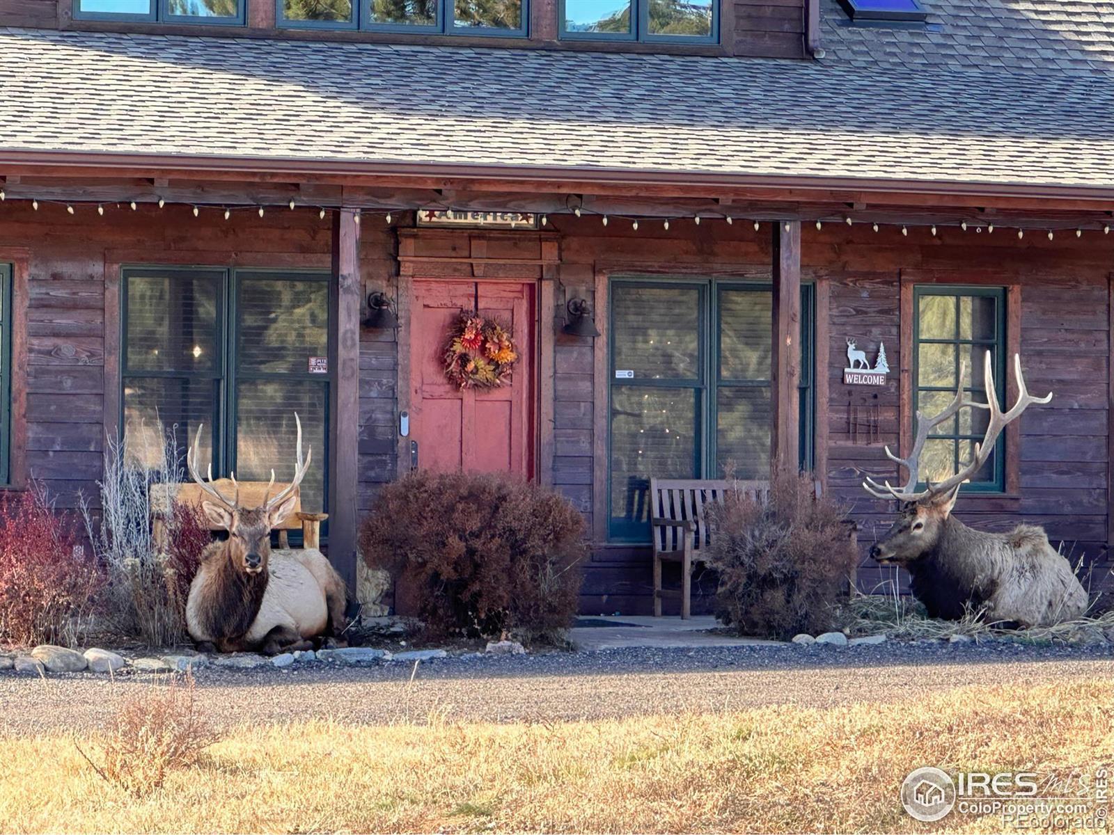 MLS Image #3 for 2165  ridge road,estes park, Colorado