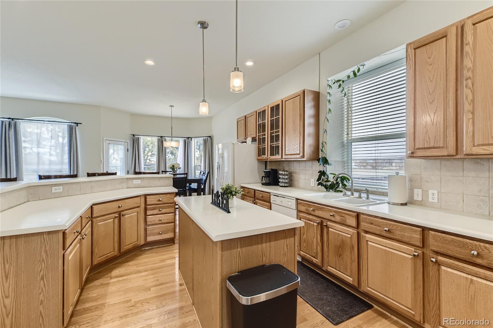 MLS Image #10 for 17423  cornerstone lane,parker, Colorado
