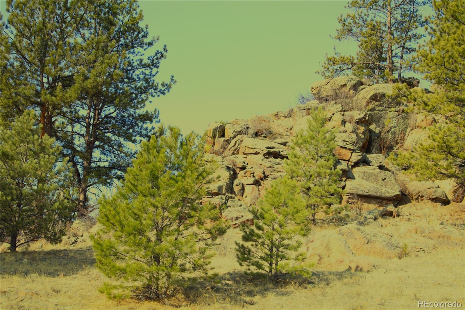 MLS Image #1 for 39858  us-24 ,lake george, Colorado